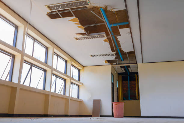 Water damage restoration insurance claims in IL