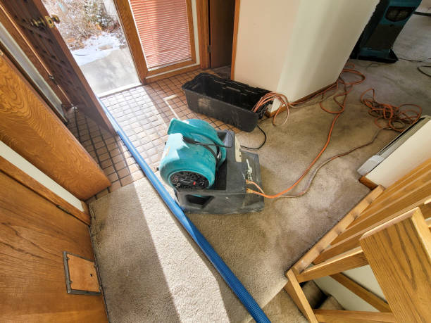 Best Commercial water damage restoration  in Creve Coeur, IL
