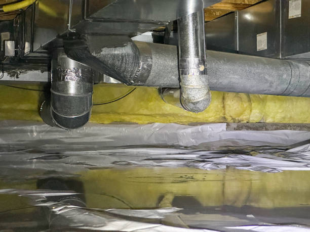 Water damage restoration mold remediation in IL