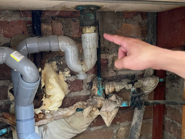 Best Water damage restoration near me  in Creve Coeur, IL