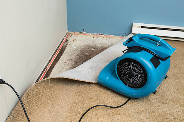 Best Fire Damage Restoration  in Creve Coeur, IL